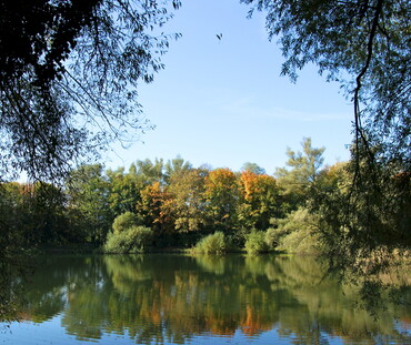 Spätsommer-Idylle am Lauffener Seeloch (Foto: Marco Dinkel)