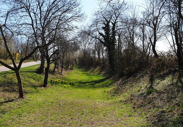 Der Altwürttembergische Landgraben (Foto: Bettina Keßler)