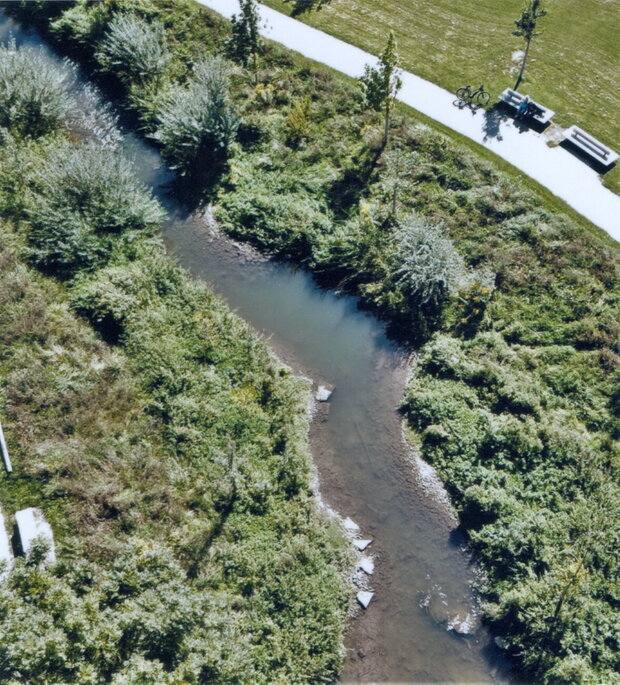 Die renaturierte Zaber im LamparterPark benötigt noch etwas Zeit, bis sich ein ökologisches Gleichgewicht einstellt