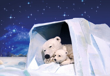 Der kleine Eisbär mit seinem Vater in einer Eishöhle (Handpuppen) (Foto: Marotte) Der kleine Eisbär mit seinem Vater in einer Eishöhle (Handpuppen) (Foto: Marotte)