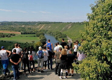 Die Zugvögel Kanu & Wein Tour - Wanderung durch die Weinberge mit Blick auf den Neckar