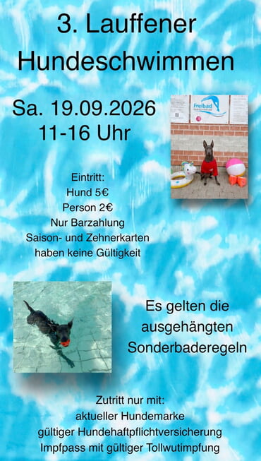 Hundeschwimmen im Freibad Ulrichsheide