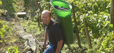 Weingut Wolfgang Schaaf