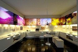 Das Hölderlinzimmer im Lauffener Museum im Klosterhof (Foto: Günter Gaida)