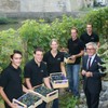 Vinitiative bei der Ernte der Trauben am Rathaus