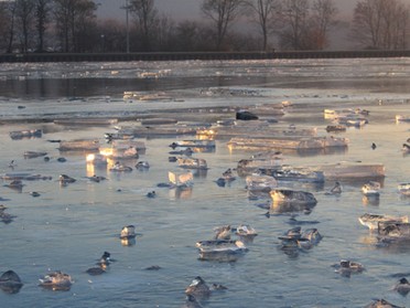 Bernd Reichle - Frost am Morgen, 29. Januar