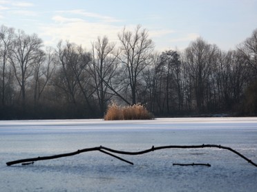 Elke Köbernick - Seeloch, 29. Januar