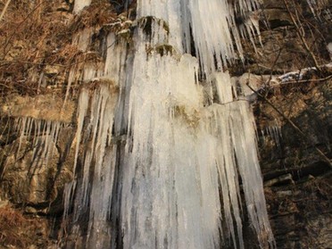 Gudrun Cremer - Eiszapfen am Neckarweg, 26. Januar