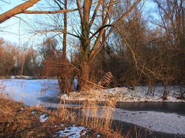 Gundrun Cremer - Am Seeloch, 25. Januar