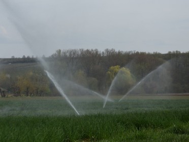 Henri Fritsch - Wasser, Wachstum und Leben