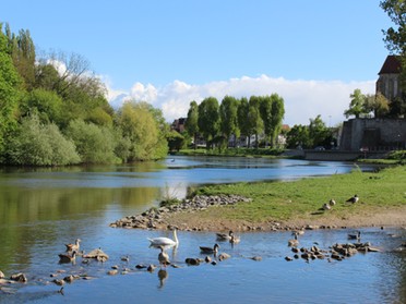 Mein Lieblingsplatz Kies/am Neckar- Beate Nonnenbroich, 18.04.2017