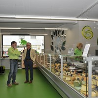 neugestalteter BioMammut