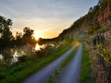 Werner Ohsam - 16.05.2017 - Lauffener Fahrradweg nach Heilbronn in abendlicher Stimmung