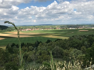 Gudrun Cremer - 25.6.2017 - Weststadt eingebettet in Seeloch, Kaywald und Prallhang.