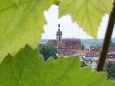 Sandra Steinle - 26.06. -  Blick vom Mühlweingarten auf die Regiswindiskirche 