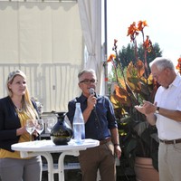 Weincontest am Sonntag bei Wein auf der Insel