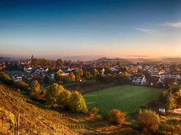 14.10. - Ulrich Seidel - Goldener Oktober