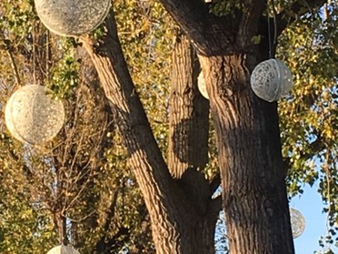 Anita Eberhard - Weihnachtsbeleuchtung in der Herbstsonne, 1.11.2017