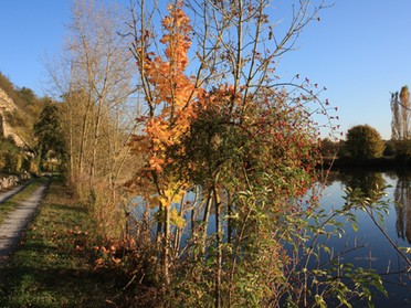 18.10.2017 - Gudrun Cremer - Herbst in Lauffen am Neckar