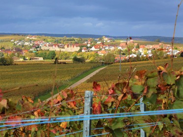 22.10.2017- Beate Nonnenbroich -Blick aufs Städtle