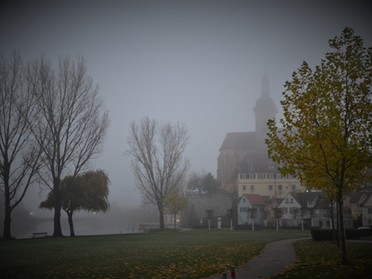 15.11.2017 - Werner Ohsam - Mystisch herbstlicher Morgen in Lauffen a.N. 