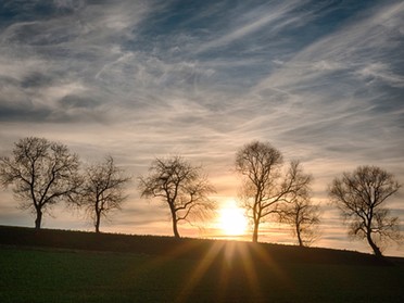 25.12.2017 - Ulrich Seidel - Bäume bei Sonnenuntergang