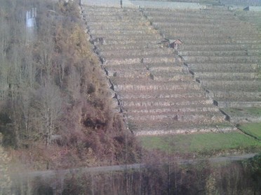 10.12.2017 - Andrea Piest-  Weinberge an der Zugstrecke