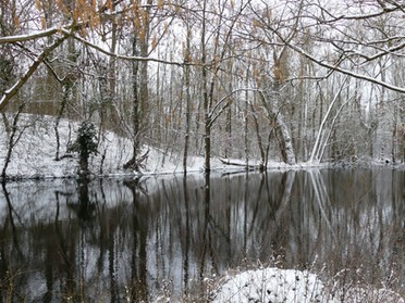 18.03.2018 - Bernd Reichle - Seeloch in Winterstimmung