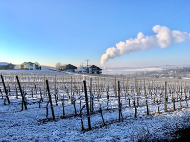 21.03.2018 - Werner Ohsam - Winter in Lauffen a.N.