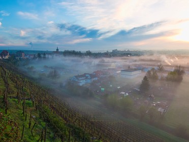 11.04.2018 - Ulrich Seidel - Morgenstimmungt mit Nebel bei Sonnenaufgang