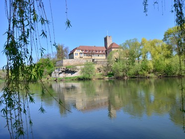 17.04.2018 - Werner Ohsam - Lauffener Rathaus im Frühling