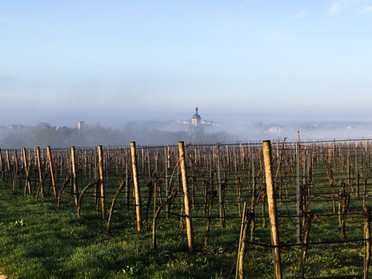 11.04.2018 - Werner Ohsam - Kirche im Nebel