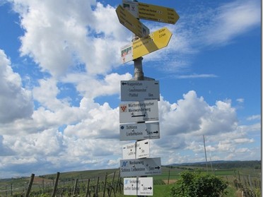 Mai 2018 - Birgit Nollenberger - Wegweiser noch 2,3 km nach Lauffen