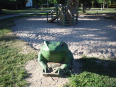 04.06.2018 - Andrea Piest - Frosch in der Nähe ein Spielplatz