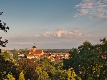 27.06.2018 - Ulrich Seidel - Blick vom Geigersberg auf die Regiswindiskirche und Neckar