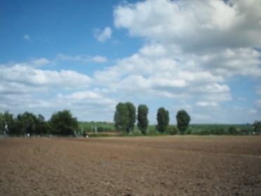 10.07.2018 - Andrea Piest - Landschaft mit Bäumen in der Nähe des Neckars