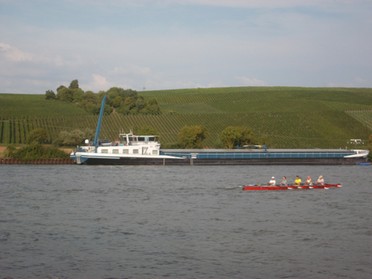 01.08.2018 - Andrea Piest - Ruderboot auf dem Neckar