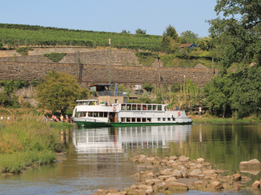 22.08.2018 - Marco Eberbach - Neckarbummler am Kies