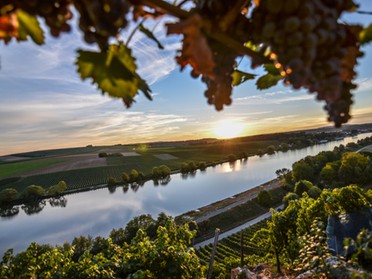 08.09.2018 - Werner Ohsam - Herbstbeginn in Lauffen a.N