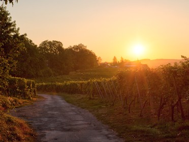 18.09.2018 - Ulrich Seidel - Sonnenaufgang überm Geigersberg