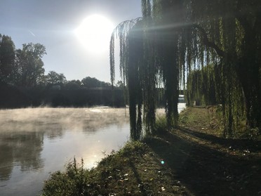 September 2018 - Gudrun Cremer - Neckarufer