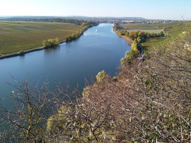 10.10.2018 - Dieter Metzger - Der Neckar