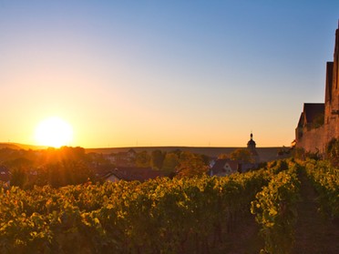 14.10.2018 - Ulrich Seidel - Weinberg, Stadtmauer und Regiswindiskirche bei Sonnenuntergang