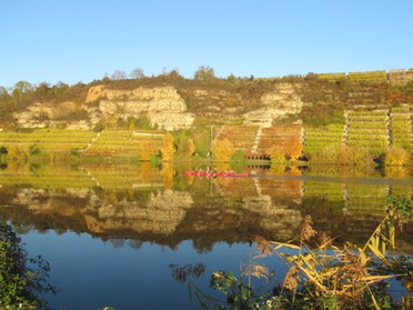 07.11.2018 - Roland Horn - Novemberherbst