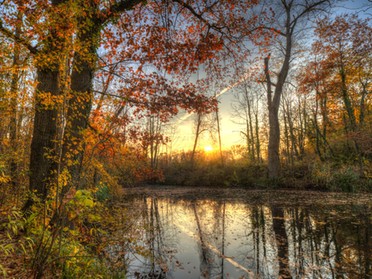 09.11.2018 - Ulrich Seidel - Herbststimmung am Seeloch in Lauffen