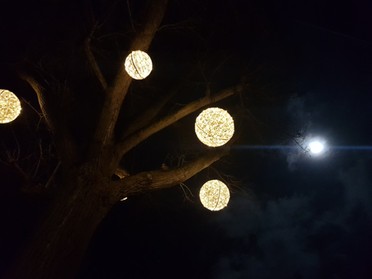 21.12.2018 - Martin Luithle - Weihnachtsbeleuchtung im Baum