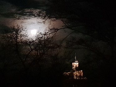 19.01.2019 - Martin Luithle - Mond über der Regiswindiskirche
