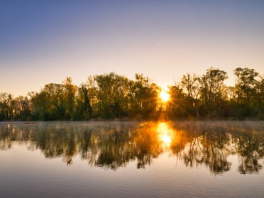 20.04.2019 - Ulrich Seidel - Morgenstimmung am Seeloch