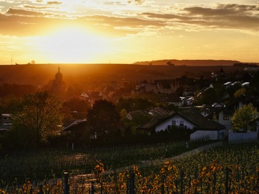 25.04.2019 - Ulrich Seidel - Abendstmmung in Lauffen