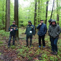 4. Mai - Waldbegang - Foto: Hellerich